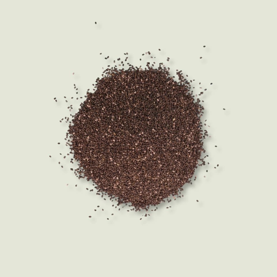 Chia Tohumu